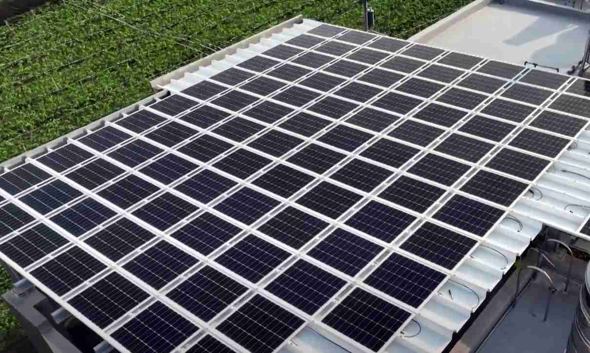 牛牛游戏SunSteel光电浪板升级双玻结构，，，，以提升机械负载强度及气候耐候度，，可广泛运用于多元场域